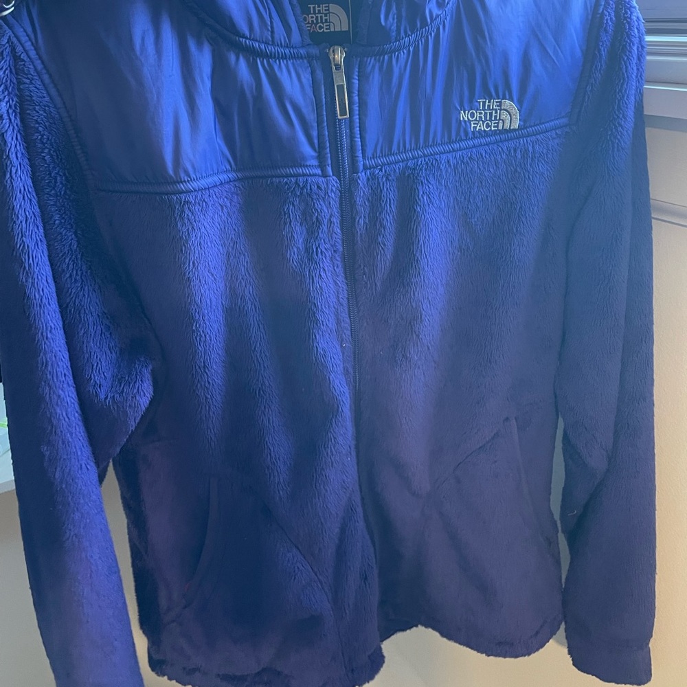 Blue North Face Jacket